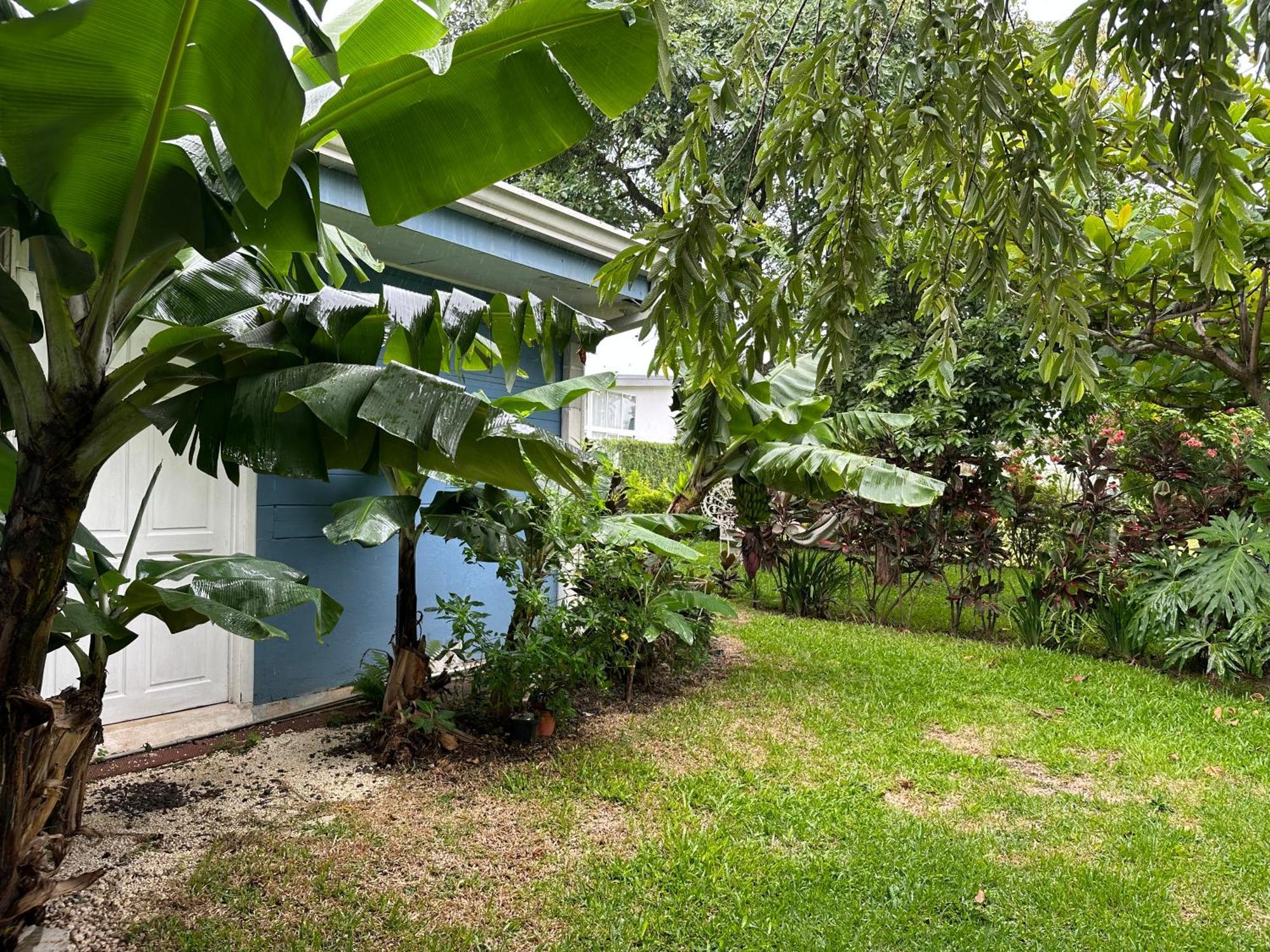 Apartmán Casa Stella Heredia Exteriér fotografie